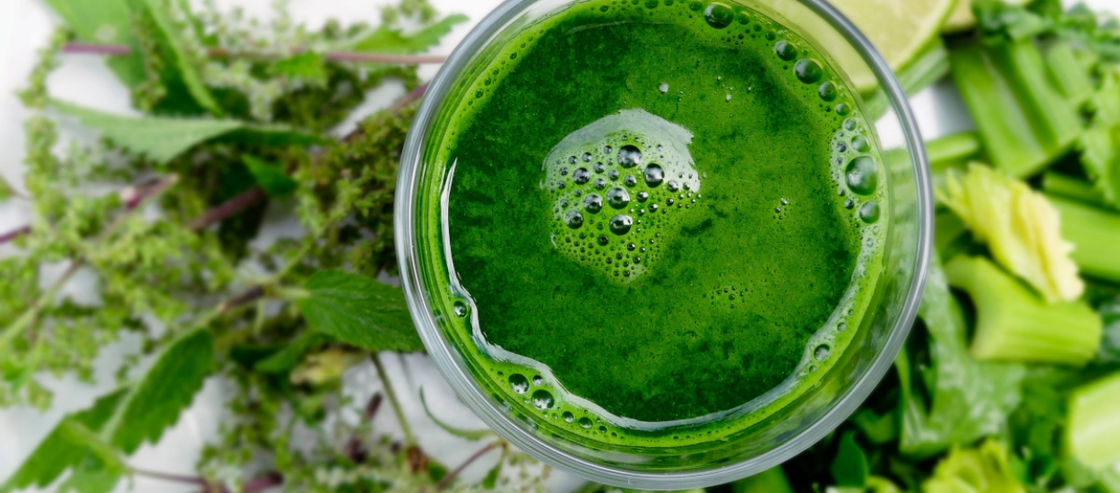 Wyciskarki do soku - co warto o nich wiedzieć?