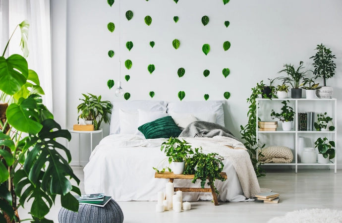 Jakie rośliny wybrać do sypialni?
