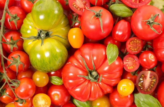 Pomidor - idealne warzywo na upały