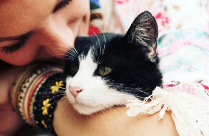 Poznaj felinoterapię, czyli - Leczenie kotem.