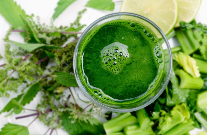 Wyciskarki do soku - co warto o nich wiedzieć?